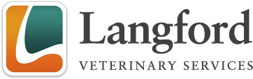 logo langford