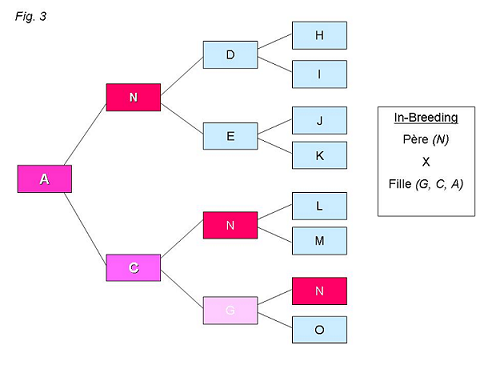 Consanguinit fig 3