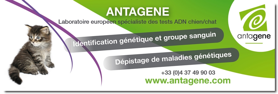 antagene