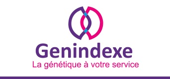 genindexe 