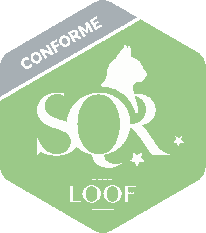 logo SQR N2