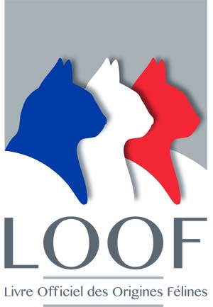 logoLOOF2014 300x433 