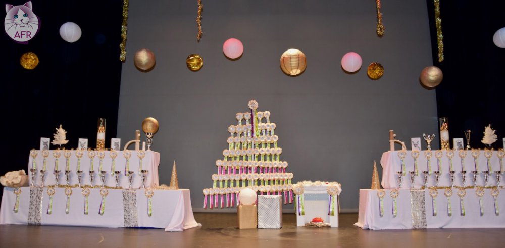 Exposition féline de Mortagne au Perche 2019