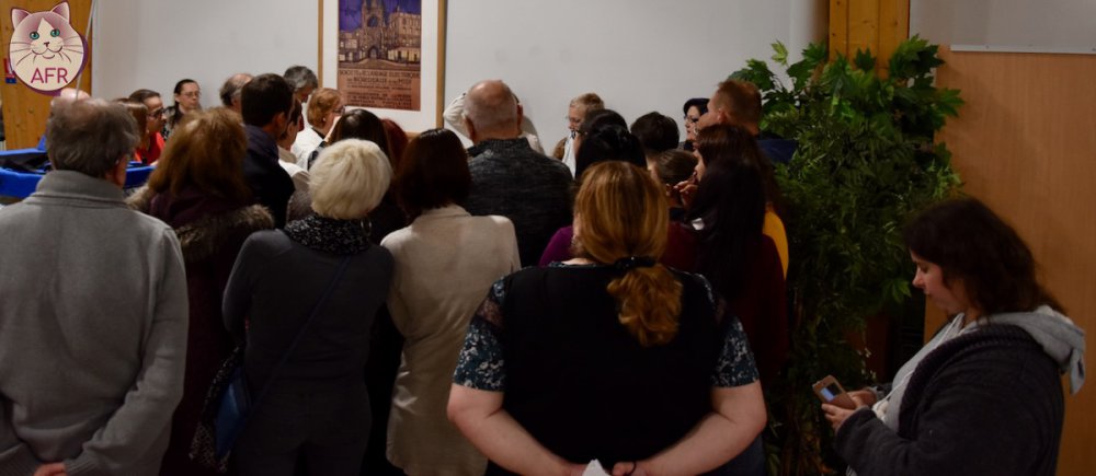 Exposition féline de Mortagne au Perche 2019