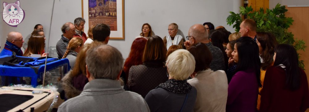 Exposition féline de Mortagne au Perche 2019