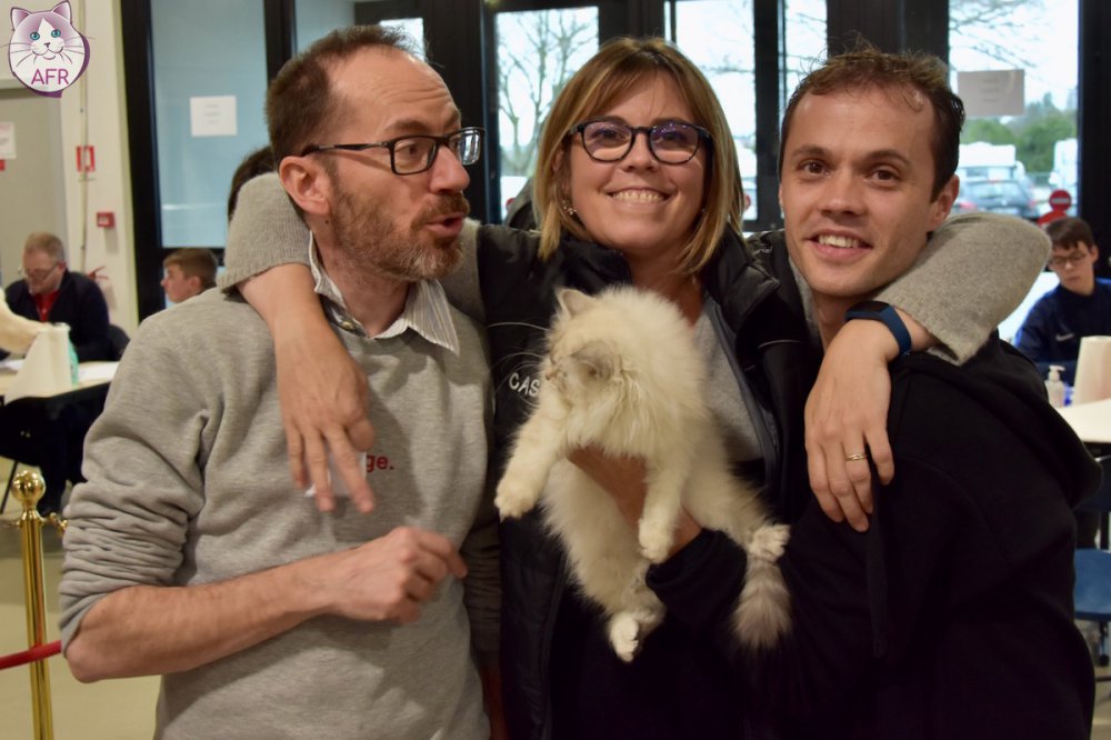 Exposition féline de Mortagne au Perche 2019