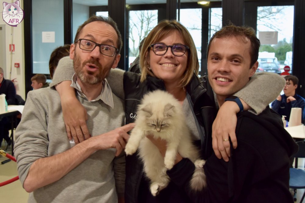 Exposition féline de Mortagne au Perche 2019