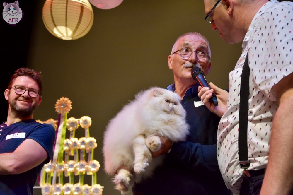 Exposition féline de Mortagne au Perche 2019