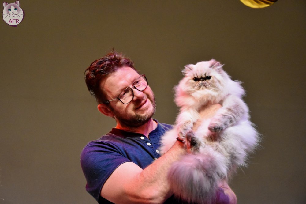 Exposition féline de Mortagne au Perche 2019