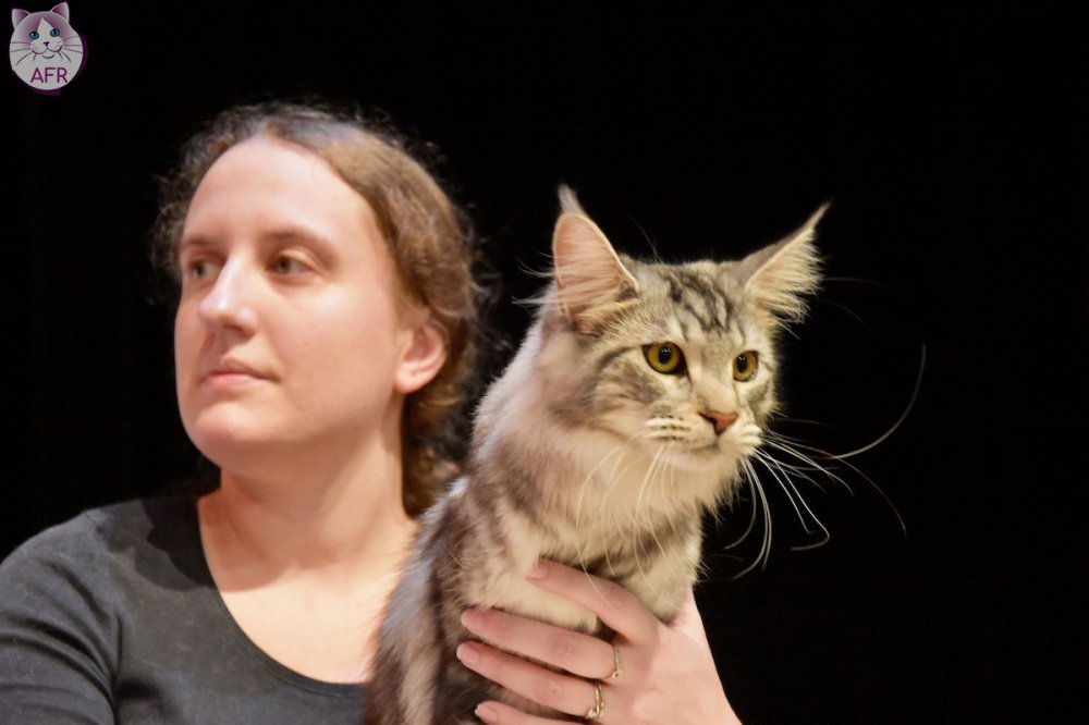 Exposition féline de Mortagne au Perche 2019