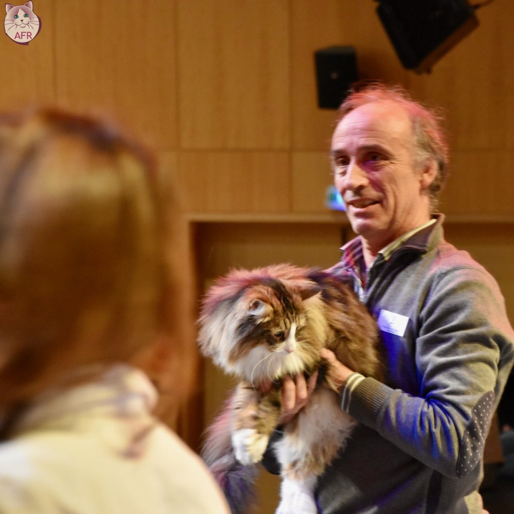 Exposition féline de Mortagne au Perche 2019