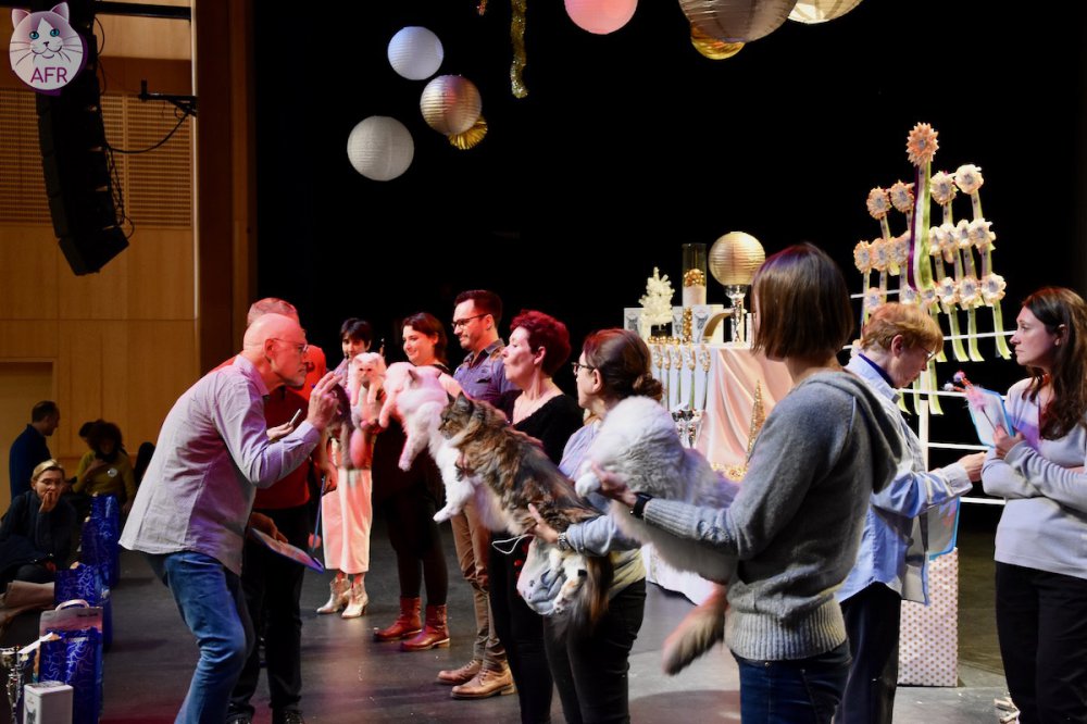 Exposition féline de Mortagne au Perche 2019