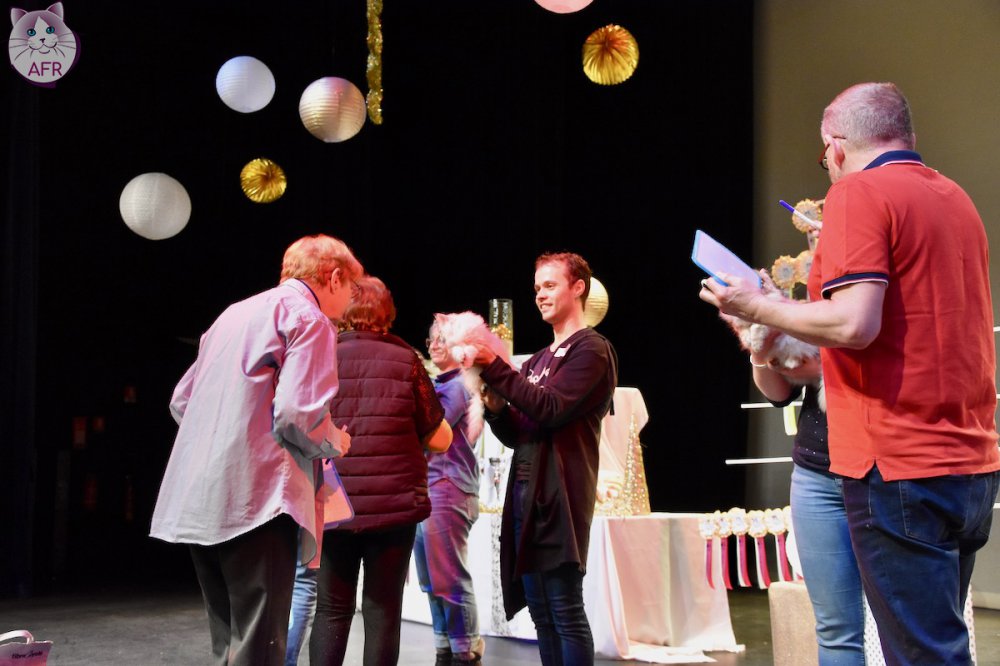 Exposition féline de Mortagne au Perche 2019