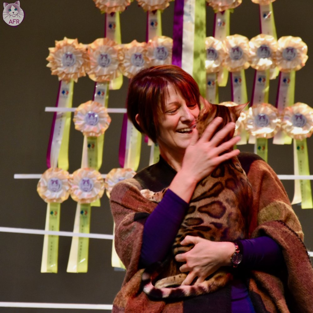 Exposition féline de Mortagne au Perche 2019