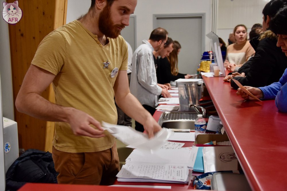 Exposition féline de Mortagne au Perche 2019