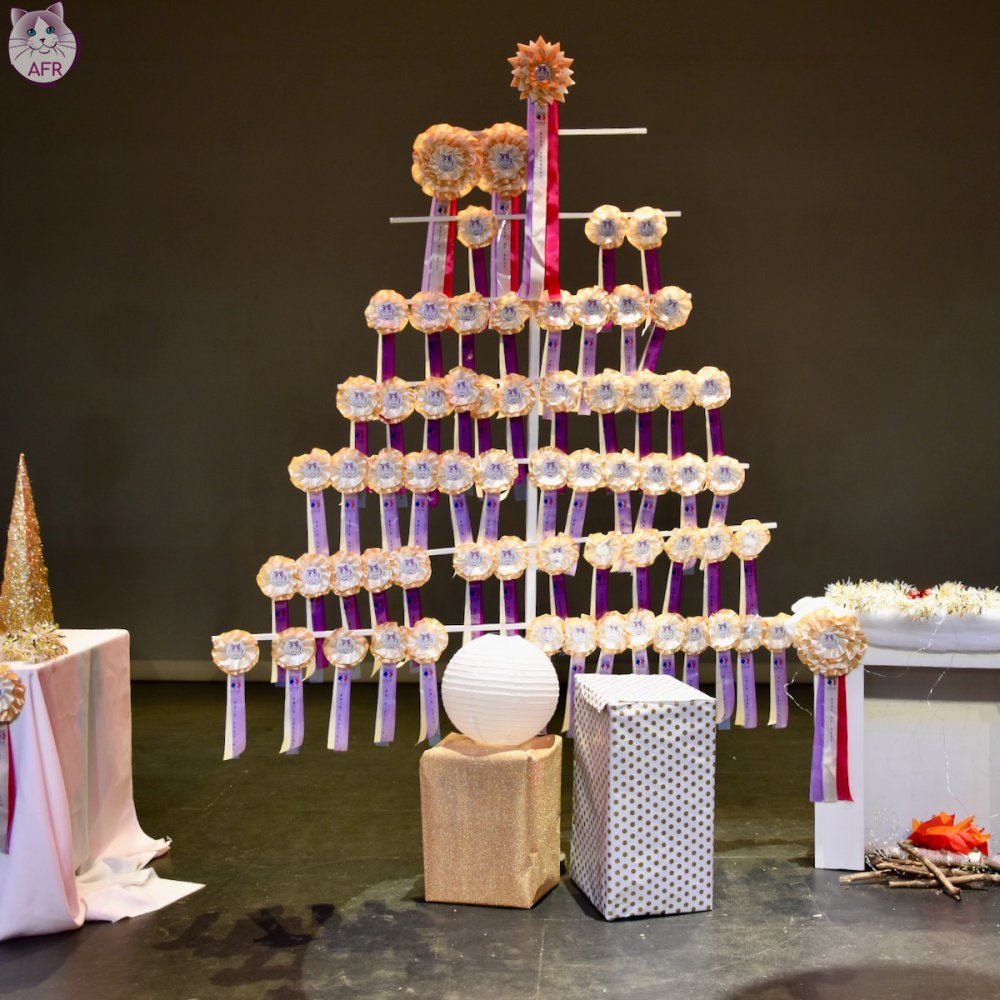 Exposition féline de Mortagne au Perche 2019