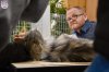 Exposition féline de Mortagne au Perche 2019